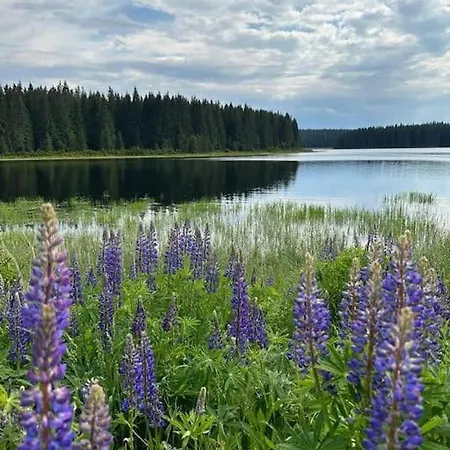 The Bridge - Between Newzealand & Oremountains Appartamento *