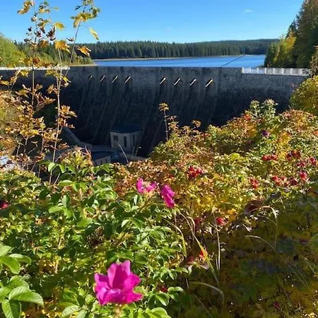 The Bridge - Between Newzealand & Oremountains * Eibenstock