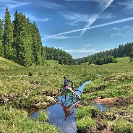The Bridge - Between Newzealand & Oremountains Eibenstock
