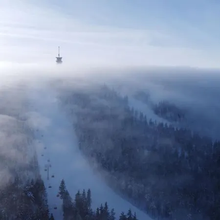 The Bridge - Between Newzealand & Oremountains