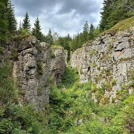 The Bridge - Between Newzealand & Oremountains * Eibenstock