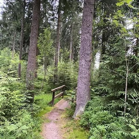 The Bridge - Between Newzealand & Oremountains Appartamento Eibenstock